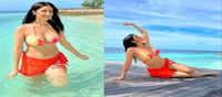 Katrina Kaif's gave killer pose in Bikini!!!